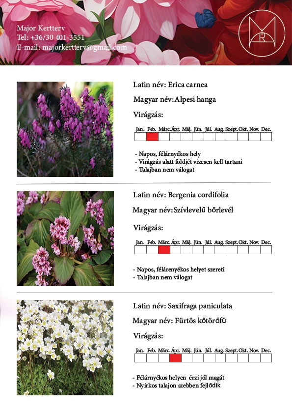 Tanácsadás Budapesten