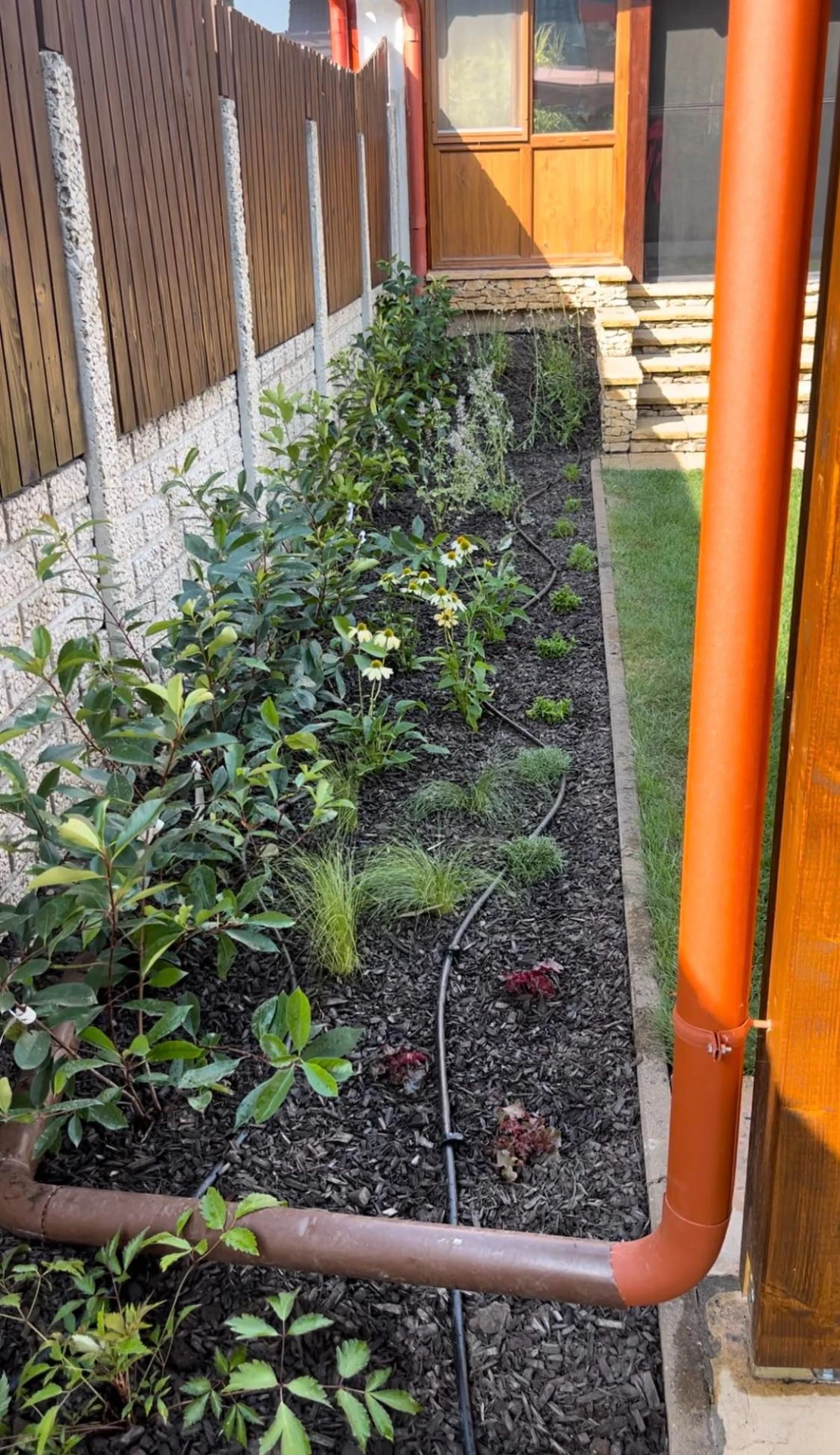 Budapesti kert ágyásainak megtervezése és beültetése